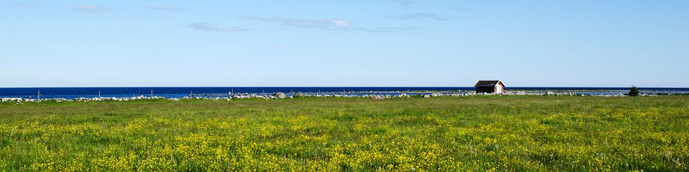 Enjoy the beautiful Öland where there are so many nice cabins for rent