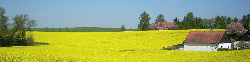 Miete ein Ferienhaus in Österlen oder vielleicht ein Skånelänga (typisches Skånehaus), dort kann man einen herrlichen Urlaub verbringen