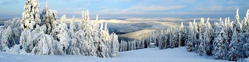 Boka stuga eller annat boende i Vemdalen för skidåkning där både Björnrike, Vemdalsskalet och Klövsjö/Storhogna